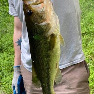 Meet your Posher, Keryk